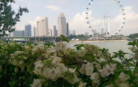 Mein Trip nach Singapur. Irgendwas zwischen Luxus und Filmkulisse.