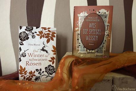 Neue Bücher: »Der Winter der schwarzen Rosen« (Nina Blazon) und »Was die Spiegel wissen« (Maggie Stiefvater)