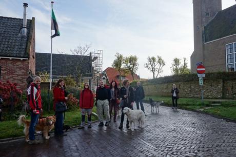 Erwartungsvolles Warten auf den holländischen Hundeflüsterer