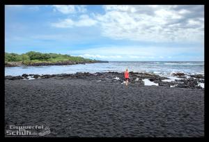 EISWUERFELIMSCHUH - Hawaii Big Island Black Beach Coconuts Turtle (55)