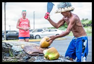 EISWUERFELIMSCHUH - Hawaii Big Island Black Beach Coconuts Turtle (17)