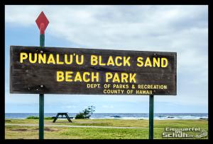EISWUERFELIMSCHUH - Hawaii Big Island Black Beach Coconuts Turtle (2)