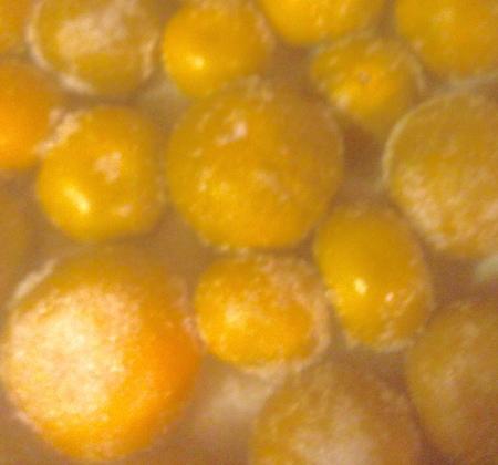 Die gepicksten und nicht geschälten Mandarinen in eine Schüssel legen und mit 1,5 Kilo Zucker gleichmässig bedecken. Der Zucker dringt in den nächsten Stunden in die Mandarinen ein. Die Mandarinen mit Zucker nun 12 Stunden erneut ruhen lassen. Bitte mit einem Baumwolltuch abdecken.
