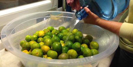 Nachdem alle Mandarinen gewaschen sind und in der Plastikschüssel liegen, mit drei Liter kaltem Wasser auffüllen.