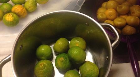Nun geht es zur Sache: Die ungeschälten Mandarinen in einen grossen Kochtopf füllen.