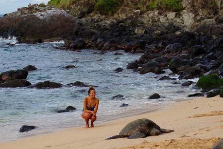 Maui Hawaii - Reiseblog ferntastisch
