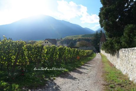 Wein aus Südtirol – ein Besuch beim Kloster Neustift
