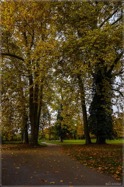 Herbst im Park Schönbusch | Folge 2 (3)