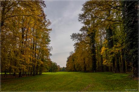 Herbst im Park Schönbusch | Folge 3 (3)