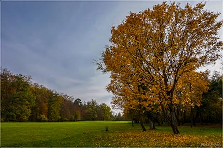 Herbst im Park Schönbusch | Folge 3 (3)