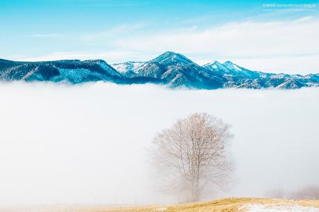 Mariazell-Winter-Nebel-Basilika-8176