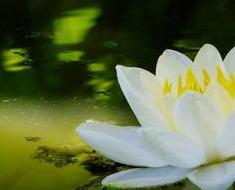 wallpaper-1689754