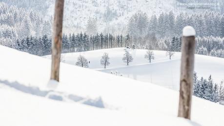 Winterlandschaft Mariazell 18012016-2686
