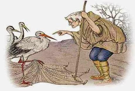 Der Landmann und der Storch ⋅ mitgegangen - mitgehangen ⋅ Fabel von Aesop