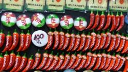 Kühlschrank-Magnete in der Markthalle Budapest (c) European Cultural News