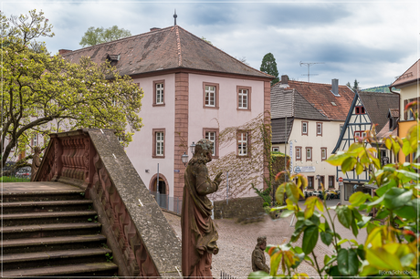 Unterwegs in Amorbach | Folge 3 (3)
