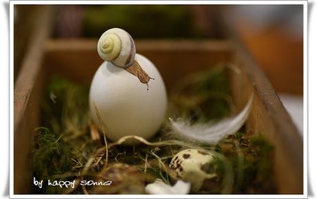 Frühlingshaftes Ei....