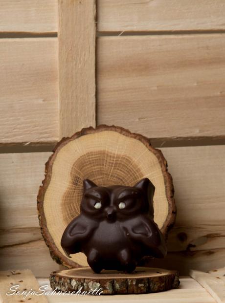 Chocolate coverd lemon owls (8 von 8)