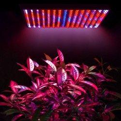 LED Pflanzenlampe für Zuhause