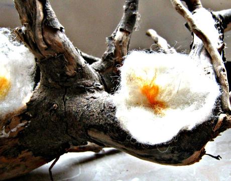 {Wochenrückblick} - Photography {Wochenrückblick} - Photography