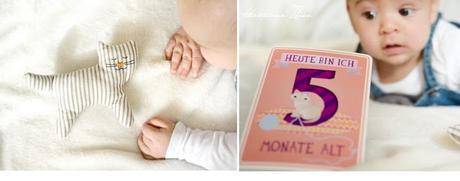 Alltagsgeschichten - 5 Monate Babyglück Milestonecards