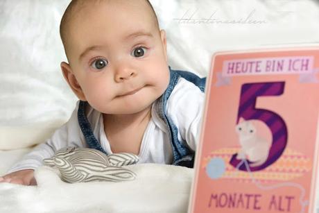 Alltagsgeschichten - 5 Monate Babyglück Milestonecards
