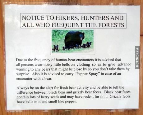 Tierschutz – Von Grizzlybären und Menschen