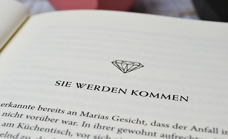 Rezension | Die Diamantkrieger-Saga: Damirs Schwur von Bettina Belitz