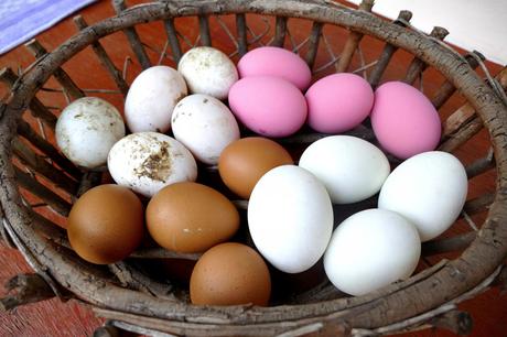 Im Uhrzeigersinn: hundertjährige Eier, gesalzene Enteneier, Hühnereier und Enteneier 