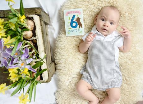 Alltagsgeschichten: 6 Monate Babyglück - Milestonecards