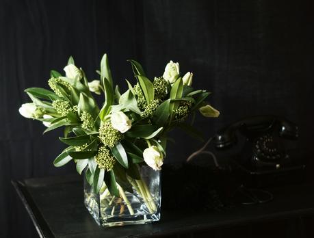 Blog + Fotografie by it's me ... fim.works - Papageientulpen in Grün und Weiß, schwarzer Hintergrund Blog + Fotografie by it's me ... fim.works - Papageientulpen in Grün und Weiß, schwarzer Hintergrund