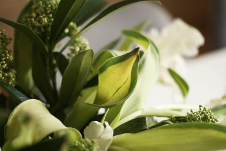 Blog + Fotografie by it's me ... fim.works - Papageientulpen in Grün und Weiß, zweifarbige Blätter Blog + Fotografie by it's me ... fim.works - Papageientulpen in Grün und Weiß, zweifarbige Blätter