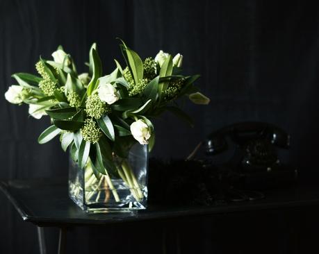 Blog + Fotografie by it's me ... fim.works - Papageientulpen in Grün und Weiß, schwarzer Hintergrund, altes Telefeon Blog + Fotografie by it's me ... fim.works - Papageientulpen in Grün und Weiß, schwarzer Hintergrund, altes Telefeon