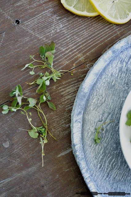 Risotto mit frischen Kräutern aus dem Garten / Risotto with fresh Herbs Risotto mit frischen Kräutern aus dem Garten / Risotto with fresh Herbs
