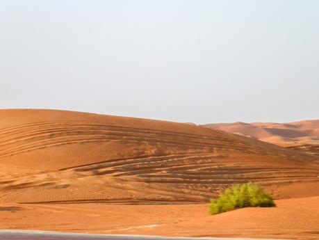 Al Ain Wüste
