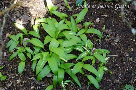 Erster warmer Frühlingstag Erster warmer Frühlingstag