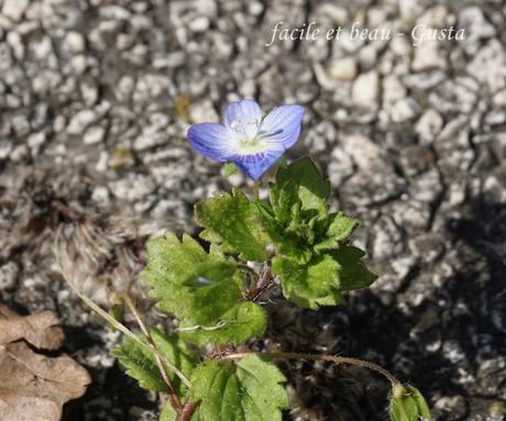 Erster warmer Frühlingstag Erster warmer Frühlingstag