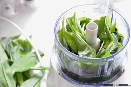 Bärlauch Pasta selbstgemacht / homemade Wild Garlic Pasta Bärlauch Pasta selbstgemacht / homemade Wild Garlic Pasta