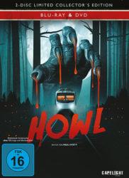 DVD-Cover Howl