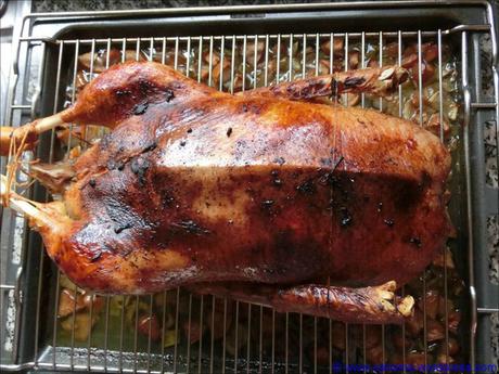 Gänsebraten comp_CR_CIMG6086_Gans