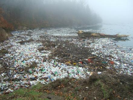 die Umweltbelastung durch Plastik ist schrecklich