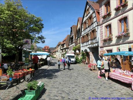 Fortbildung… comp_CR_CIMG1684_Bergheim