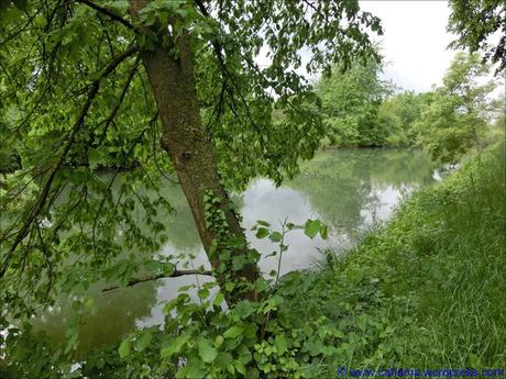 Fortbildung… comp_CR_CIMG1915_Rhein_Rhone_Kanal