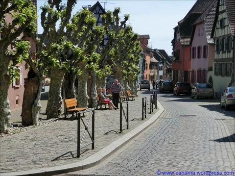 Fortbildung… comp_CR_CIMG1637_Bergheim