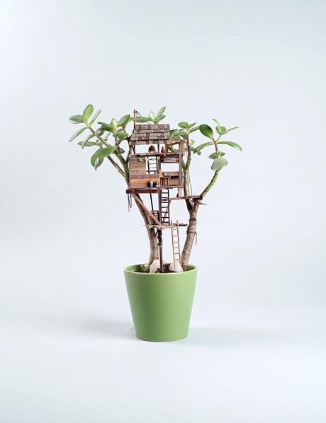 Für Schreibtischabenteurer – Das Baumhaus für Zimmerpflanzen!