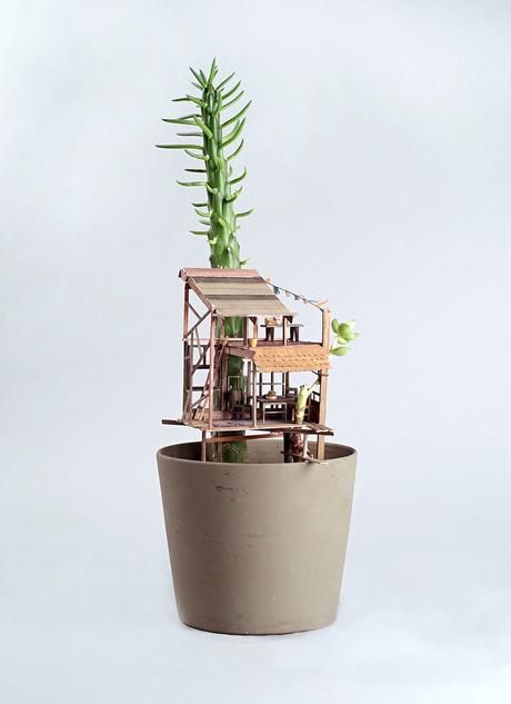 Für Schreibtischabenteurer – Das Baumhaus für Zimmerpflanzen!