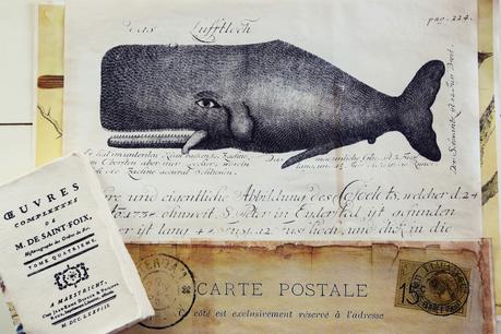 Nostalgische Kunstdrucke: der Wal, Flora und Meleagris Satyra