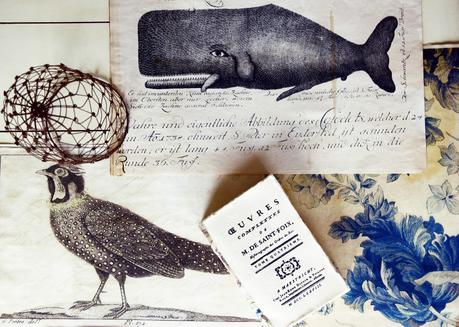Nostalgische Kunstdrucke: der Wal, Flora und Meleagris Satyra
