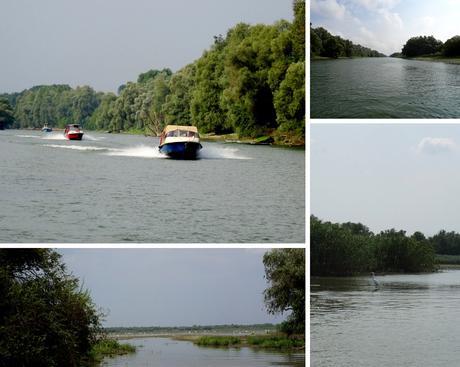 Donau Delta (Tulcea)