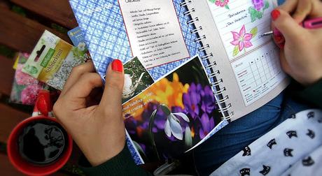 Jaimee entdeckt die praktischen Tagebücher vom familia Verlag